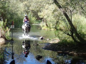 Woman riding horse across water
